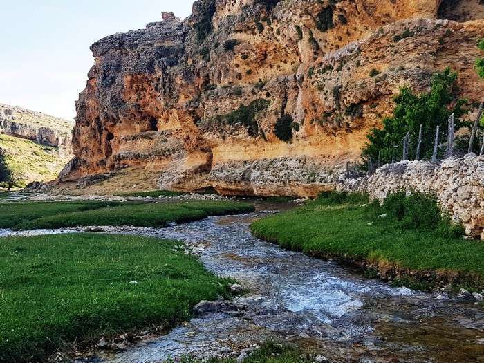 Mersin Ormanları,Kampları ve Parkurları