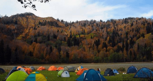 Artvin Kamp Ve Karavan