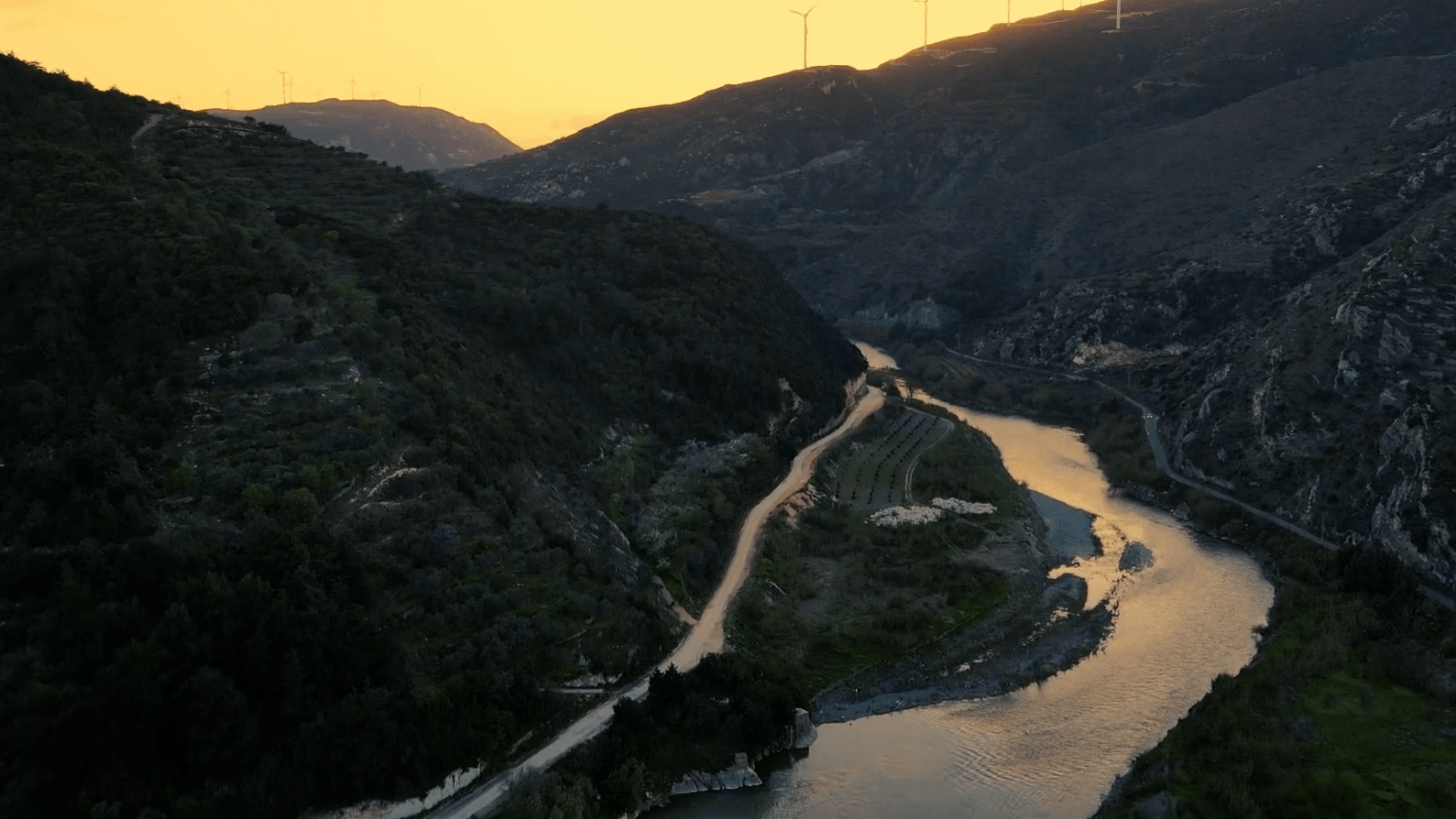 Asi Nehri