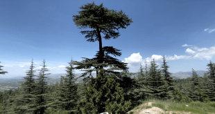 Kızıldağ Milli Parkı