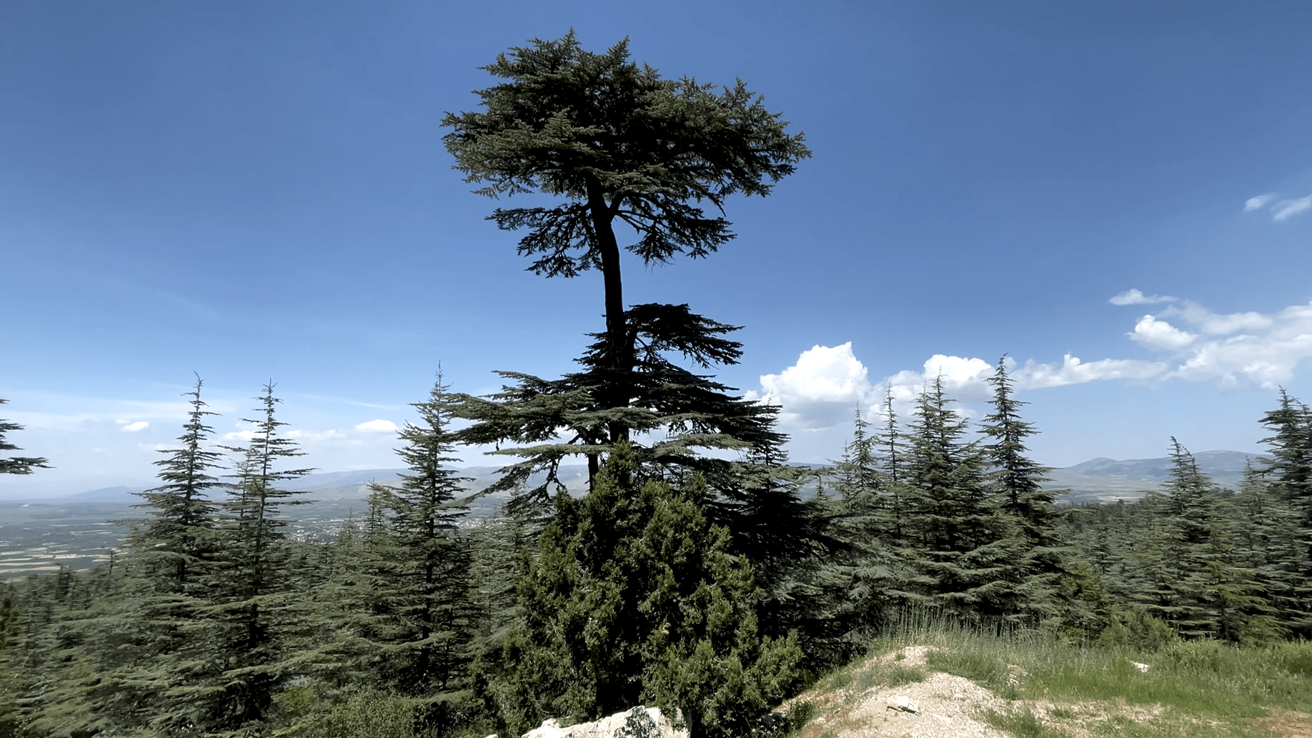 Kızıldağ Milli Parkı