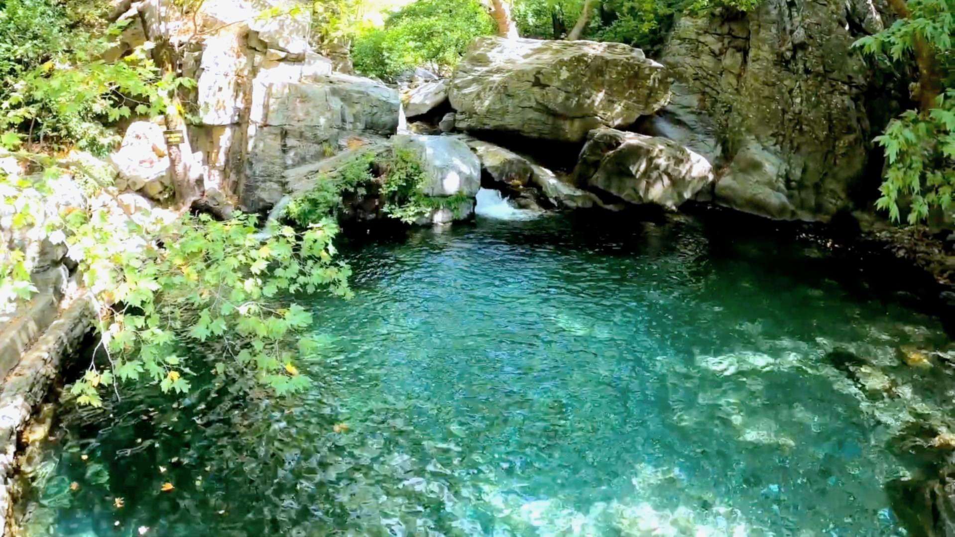 Kazdağı Milli Parkı Balıkesir