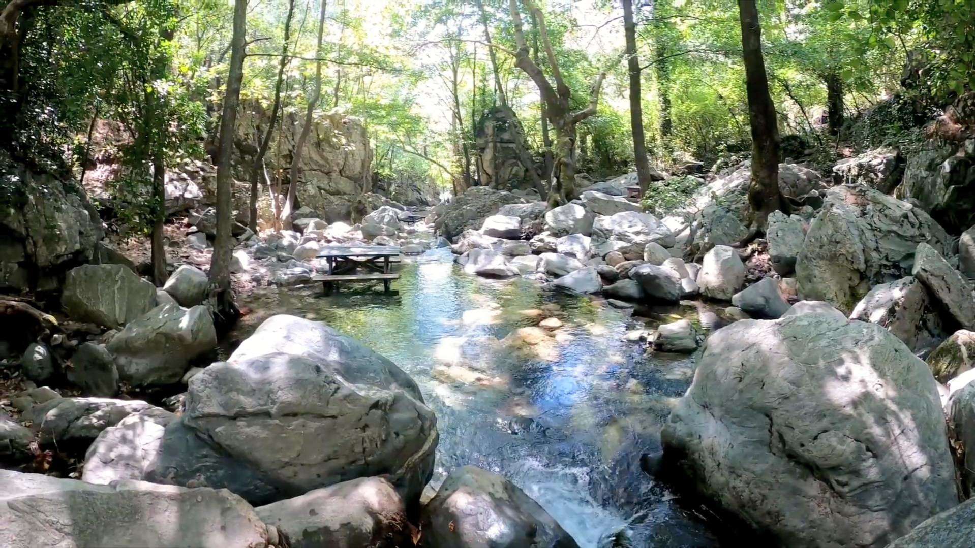 Kazdağı Milli Parkı Balıkesir