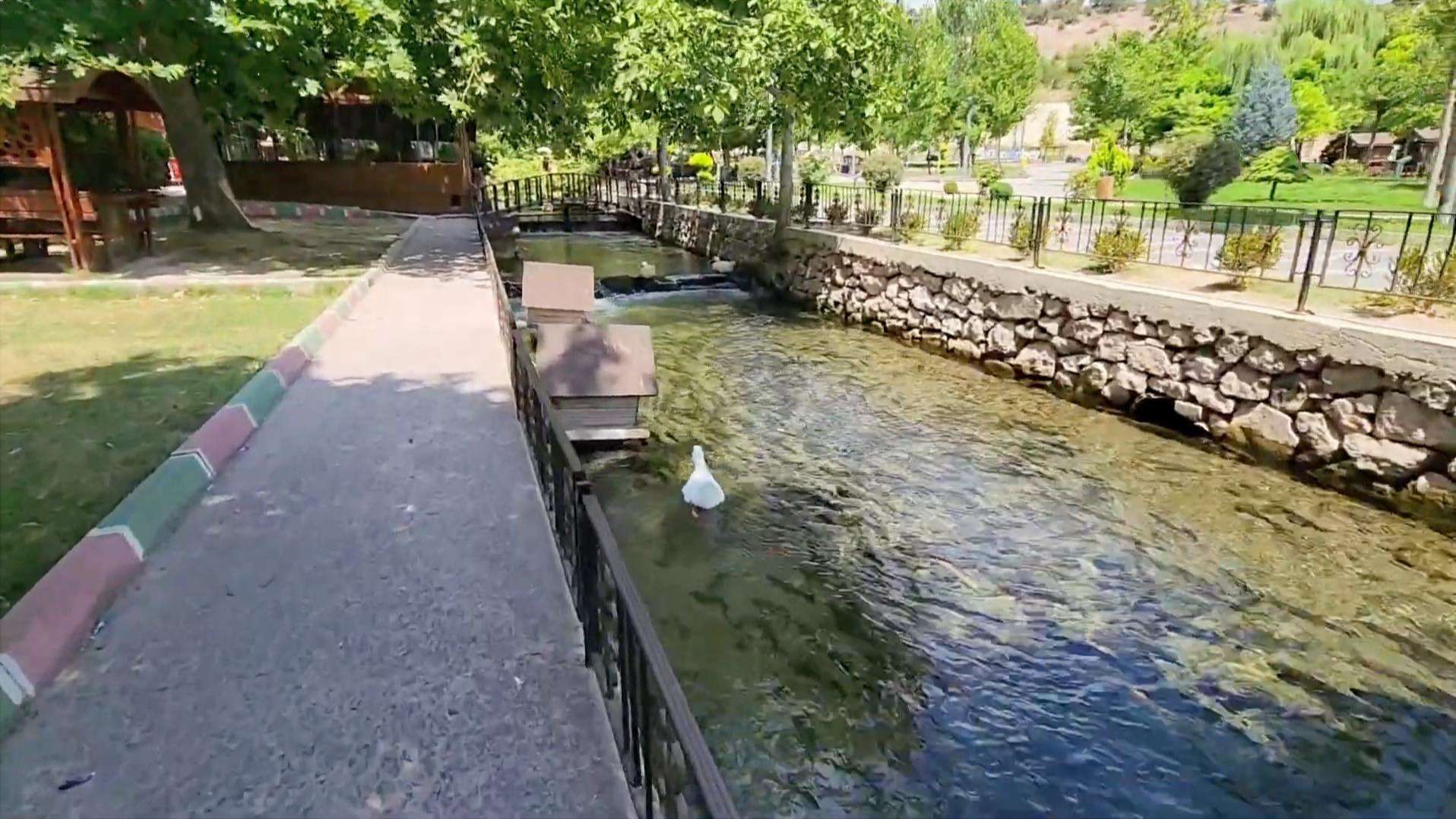 Suçıktı Mesire Alanı Balıkesir