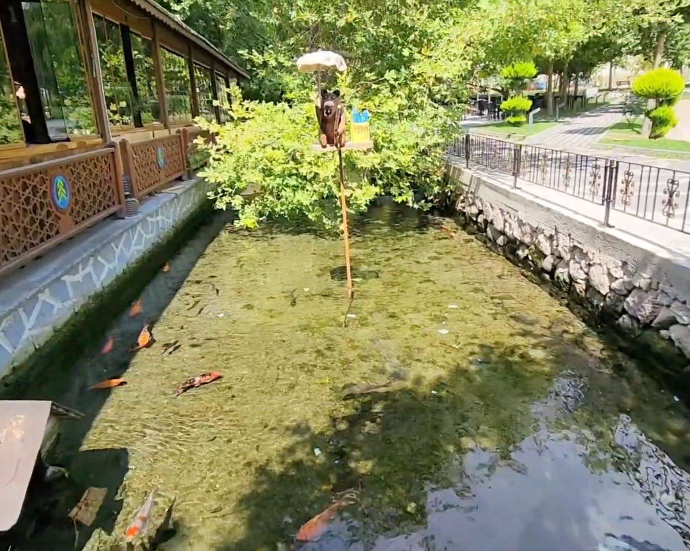 Suçıktı Mesire Alanı Balıkesir