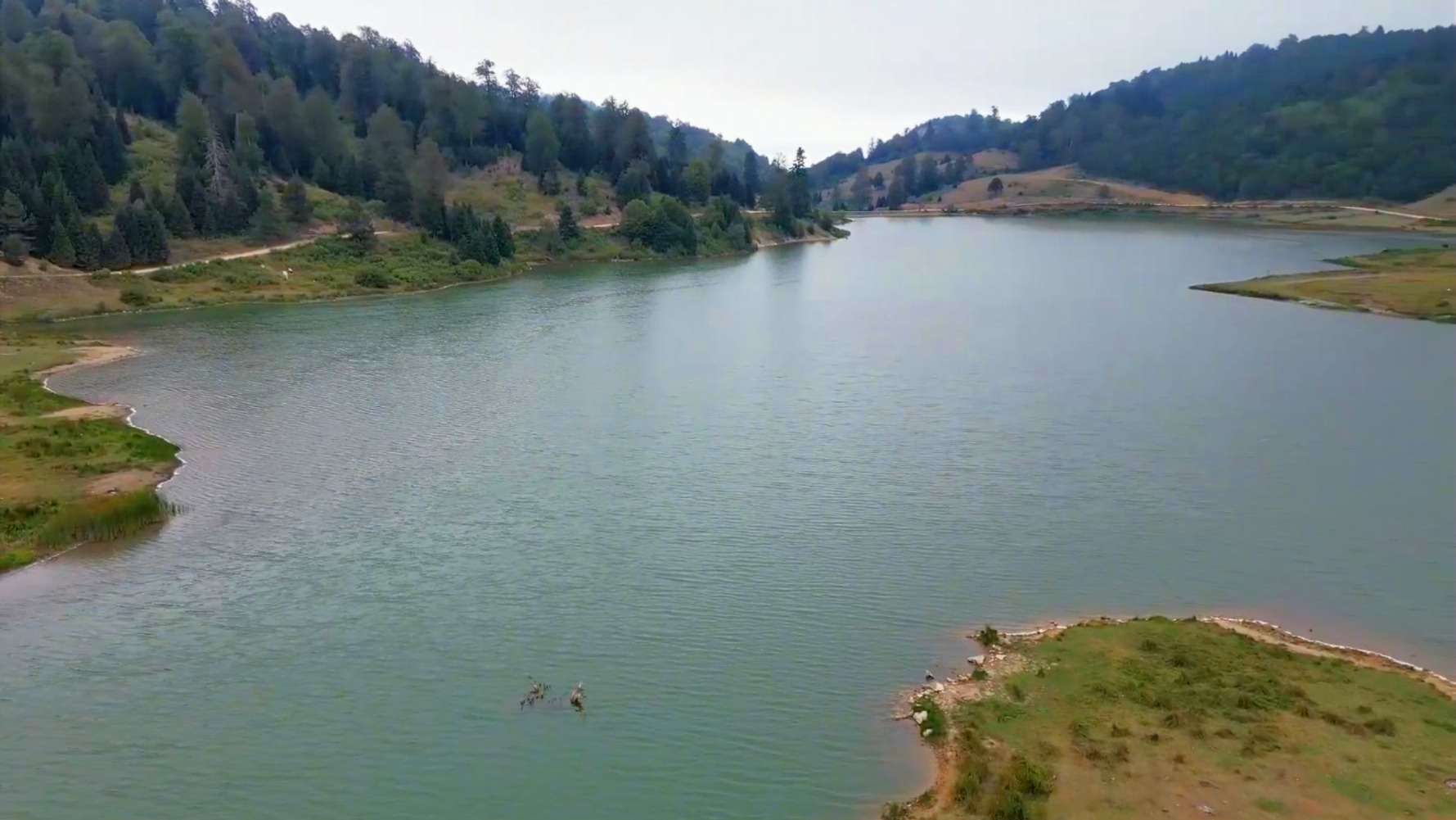 Acelle Yaylası - Sakarya