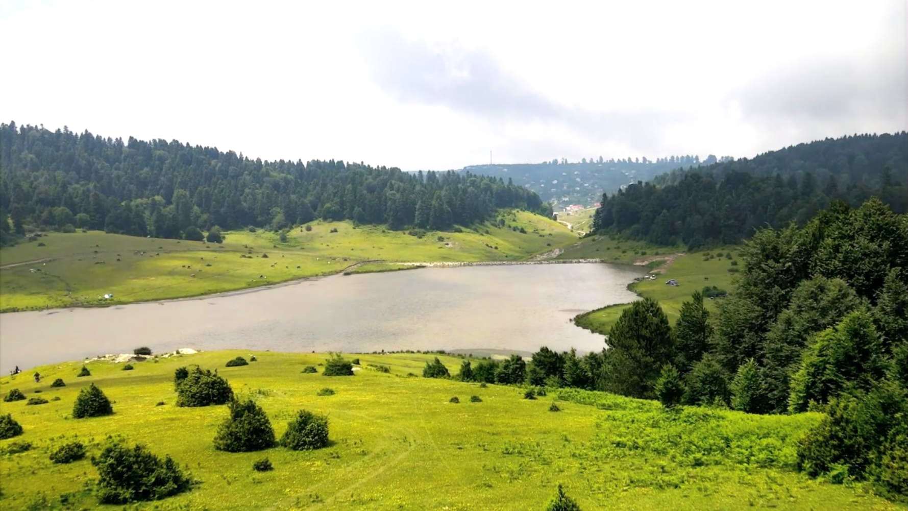 Sultanpınar Yaylası